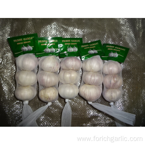 Crop 2019 Normal White Garlic